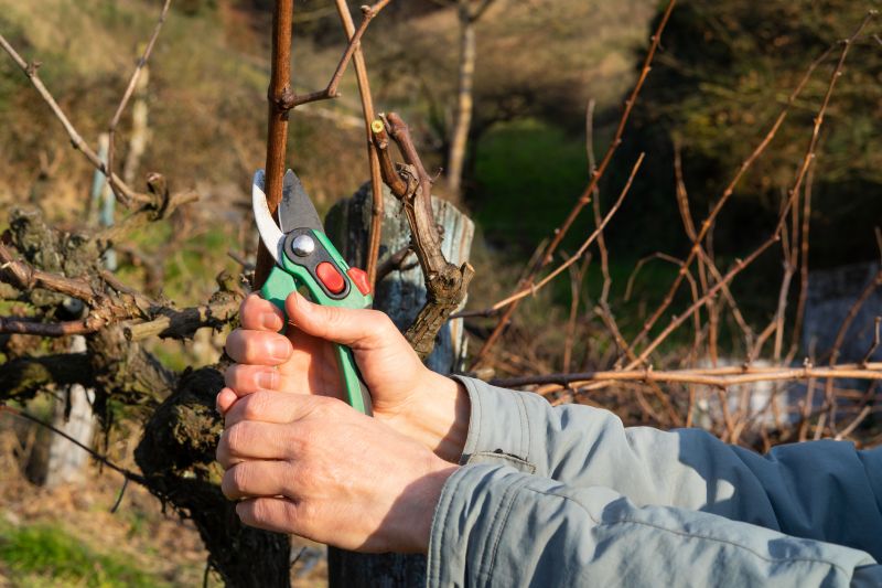 Shrub Pruning in Rockwall, TX