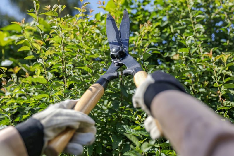 Reduced Pest Infestation