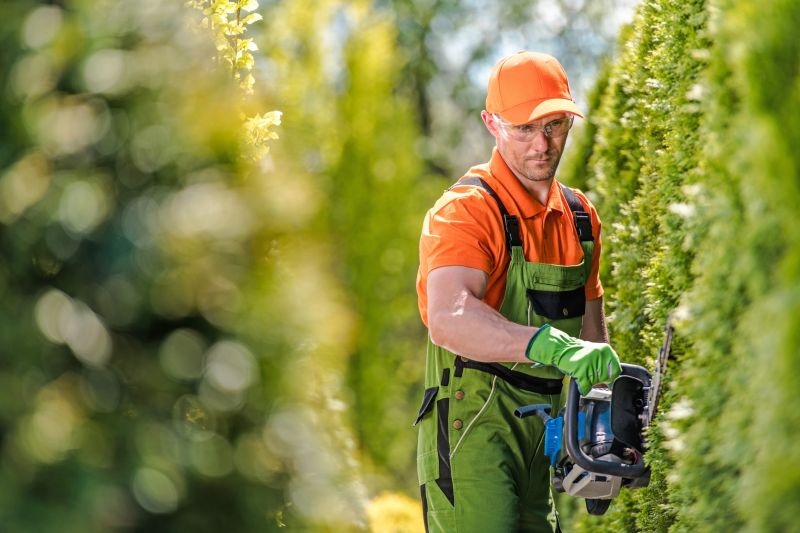 Shrub Trimming And Removal - Shrub Trimming And Removal Staten Island, New York